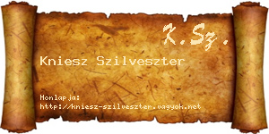 Kniesz Szilveszter névjegykártya